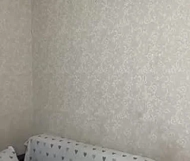 Cam #2